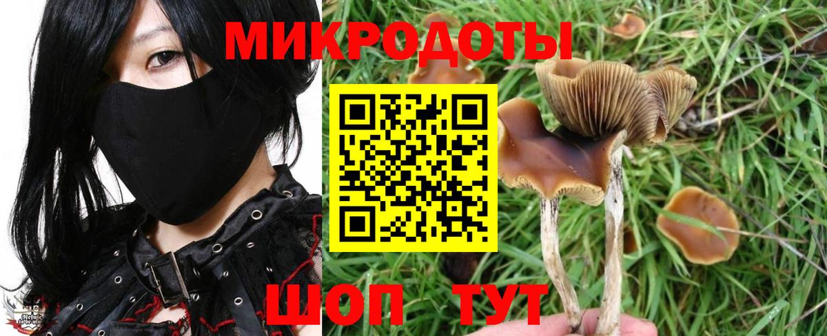 Галлюциногенные грибы прущие грибы Коммунар