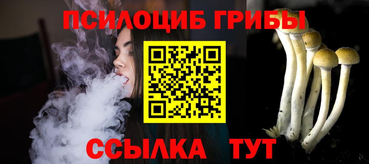 Псилоцибиновые грибы Psilocybe  Вход с VPN  Коммунар 